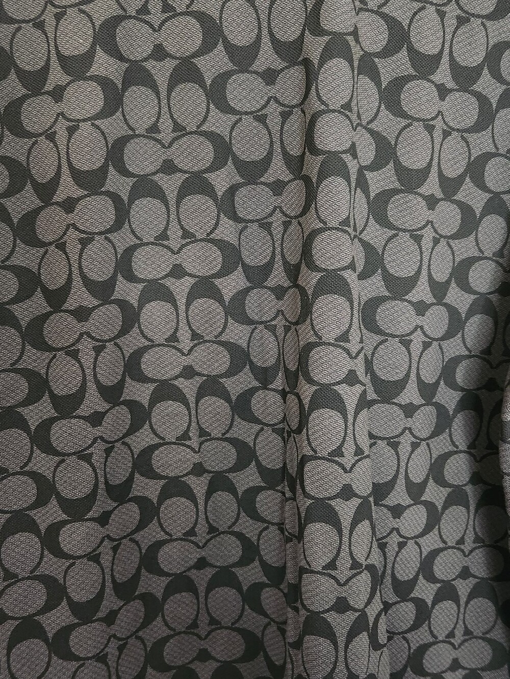 Coach Polo - Picture 3 of 5